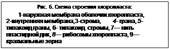 ϳ: . 6.   :
1-   ,
2- ,3-, 4- , 5-  , -  , 7   , 8  , 9   
 

